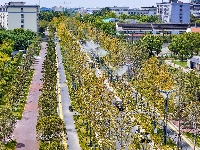 图集 | 智能喷雾双管齐下，荆州街头降尘降温送清凉