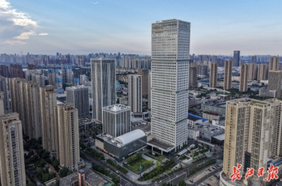 两“链主”企业织就千亿经济带，龙阳湖畔：万余民企环湖生长