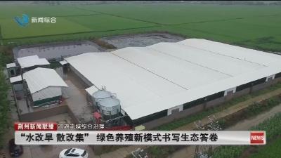 “水改早 散改集” 绿色养殖新模式书写生态答卷