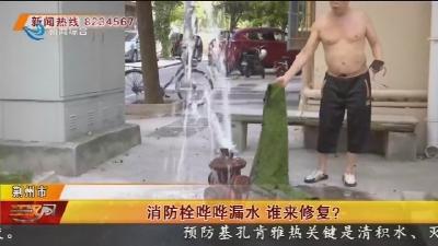 消防栓哗哗漏水 谁来修复?