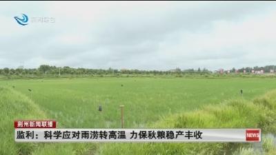 监利:科学应对雨涝转高温 力保秋粮稳产丰收