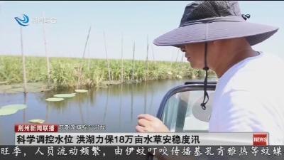 科学调控水位 洪湖力保18万亩水草安稳度汛