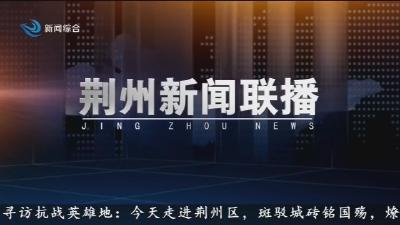 荆州新闻联播 2025-08-19
