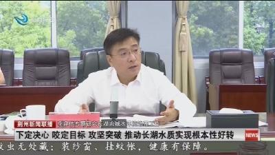 下定决心 咬定目标 攻坚突破 推动长湖水质实现根本性好转