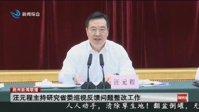 汪元程主持研究省委巡视反馈问题整改工作