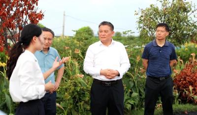 湖北省人大常委会来荆调研养殖尾水治理及农作物秸秆综合利用工作情况