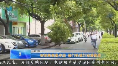 树枝断裂悬半空 部门快速行动清隐患