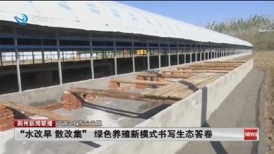 “水改旱 散改集” 绿色养殖新模式书写生态答卷