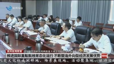 推进国际直航航线常态化运行 不断塑造外向型经济发展优势