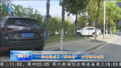 绿化带成了“停车场” 交警现场劝离