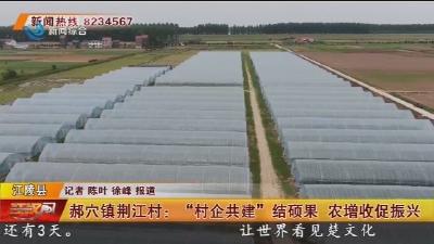 郝穴镇荆江村: “村企共建”结硕果 农增收促振兴