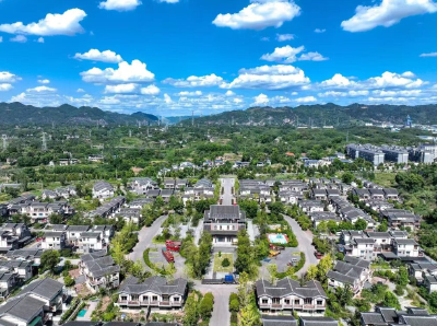 橘香漫溢英雄湾