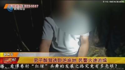 男子醉驾逃卧芝麻地    民警火速追缉