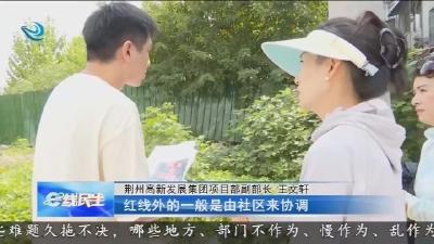 野树“疯”长影响采光  谁来清理?