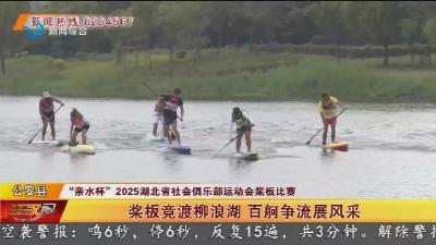 桨板竞渡柳浪湖 百舸争流展风采