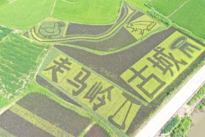 正式立项！荆州国家考古遗址公园＋1