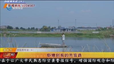 虾塘创客的共富路