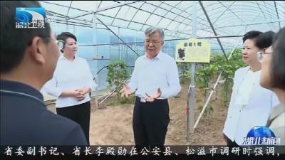 李殿勋在荆州公安县松滋市调研时强调准确把握国内外发展形势的复杂深刻变化 坚持依靠进一步全面深化改革，重塑县域经济发展竞争新优势