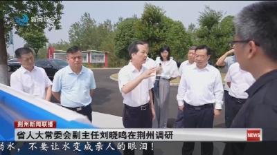 省人大常委会副主任刘晓鸣在荆州调研