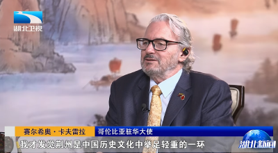 让世界看见楚文化！ 多国驻华大使点赞荆州！