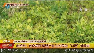 赵桥村：改良品种 做强产业让村民的“口袋”鼓起来