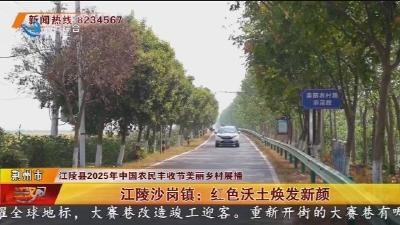 江陵沙岗镇: 红色沃土焕发新颜