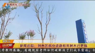 新闻追踪：荆州区部分道路枯死树木已更换
