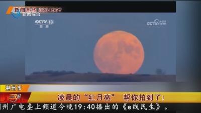 凌晨的“红月亮”帮你拍到了!