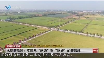 水稻新品种: 实现从“吃饱”到“吃好”的新跨越