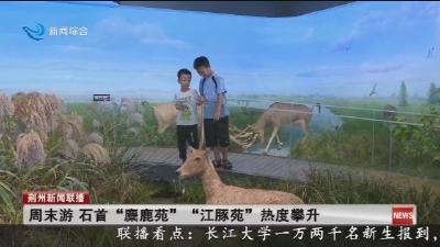 周末游  石首 “麋鹿苑”  “江豚苑” 热度攀升