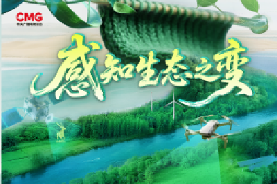 见绿、听风、触清新！“五感”感知生态之变