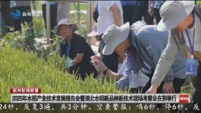 2025年水稻产业技术发展报告会暨湖北水稻新品种新技术现场考察会在荆举行