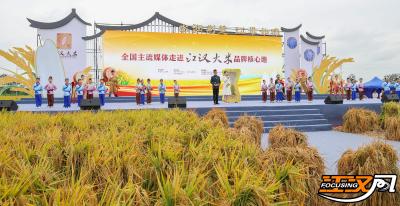 “水润荆楚·江米如珠”全国主流媒体走进江汉大米品牌核心地活动在湖北监利举行