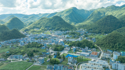 “两山”转化看鹤峰：82万亩“生态珍宝”香飘海外 村民增收笑满颜