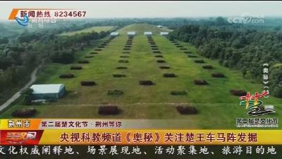 央视科教频道《奥秘》关注楚王车马阵发掘