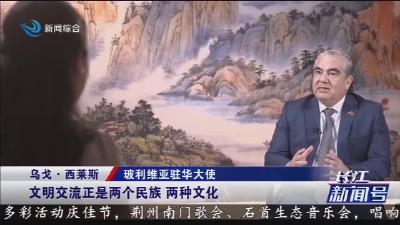 玻利维亚驻华大使乌戈 · 西莱斯 : 中国为世界注入正能量