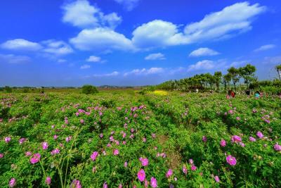 多彩画卷新红湾