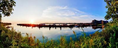 赤黄红·洪湖情 | 2025环洪湖马拉松，跑进水乡新画卷！