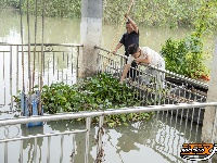 图集 | 洪湖东荆河 防汛护堤保安澜