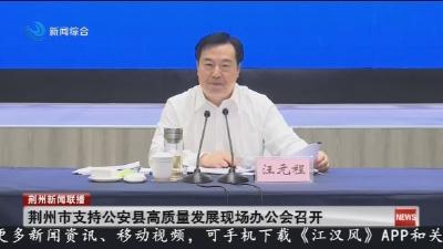 荆州市支持公安县高质量发展现场办公会召开