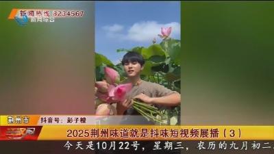 2025荆州味道就是抖味短视频展播(3)