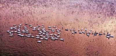 今天过节，荆州多地免票！