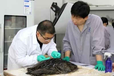 荆州简：战国简出土数量全国第一