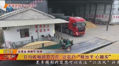 日均收粮超百万斤  让农户 “粮出手 心踏实”