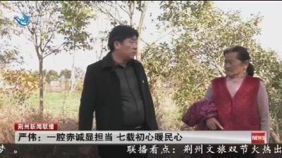 严伟:一腔赤诚显担当 七载初心暖民心