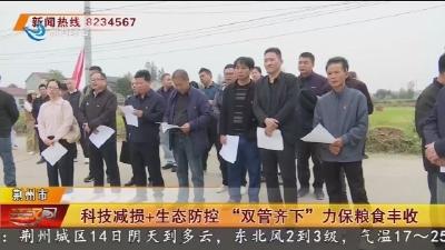 科技减损+生态防控 “双管齐下” 力保粮食丰收