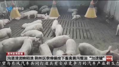 沟渠清流映稻浪  荆州区李埠镇按下畜禽粪污整治 “加速键”