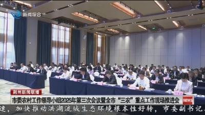 市委农村工作领导小组2025年第三次会议暨全市“三农”重点工作现场推进会