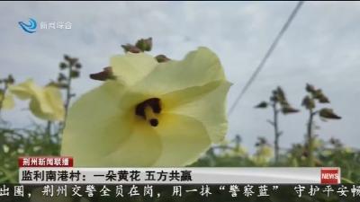 监利南港村: 一朵黄花 五方共赢