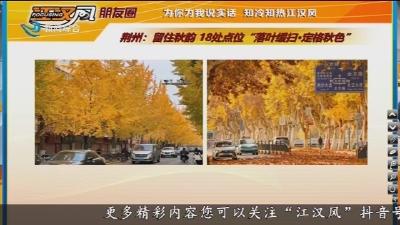 小风的朋友圈 2025-10-14